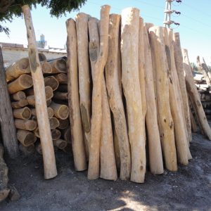 Palo Santo Longeado